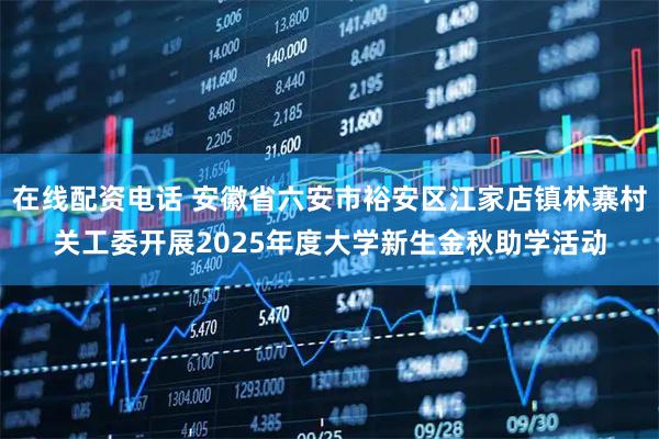 在线配资电话 安徽省六安市裕安区江家店镇林寨村关工委开展2025年度大学新生金秋助学活动